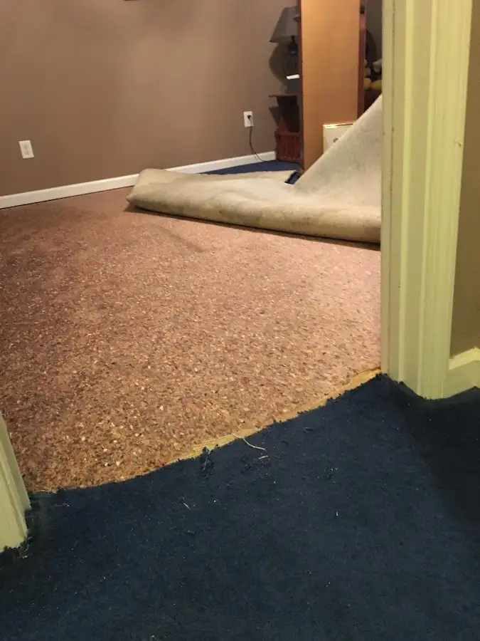 Carpet pad removal revealing water damage during Drying & Dehumidification in Bay Harbor Islands