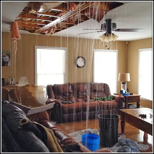 Water Damage Restoration services in Bay Harbor Islands, FL