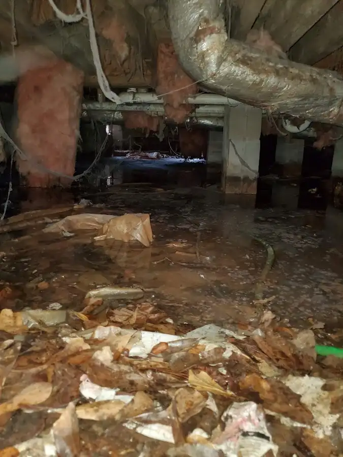 Crawl space flood assessment for Leak Detection & Repair in Bay Harbor Islands